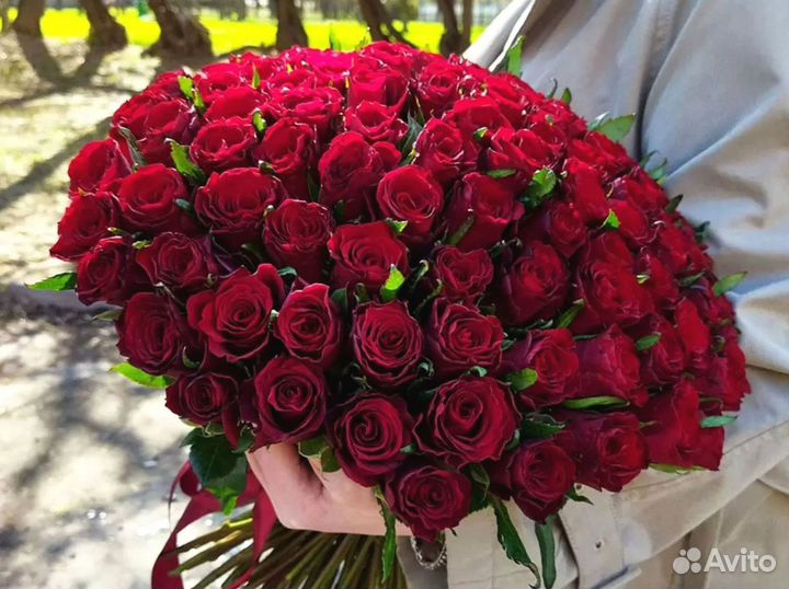 Букет из 61 розы