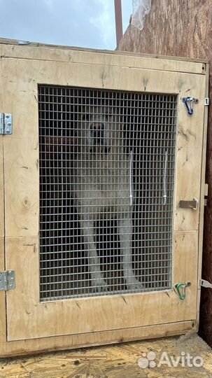 Клетка контейнер для перевозки животных