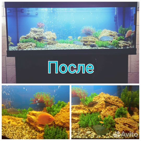 Чистка аквариума выезд