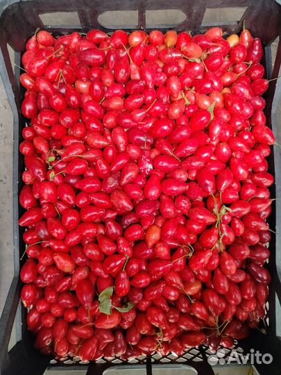 Инжир свежий, Кизил, лесной орех