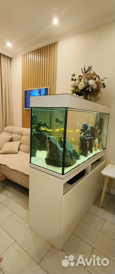 Аквариум