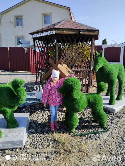 Топиарная фигура- Пудель