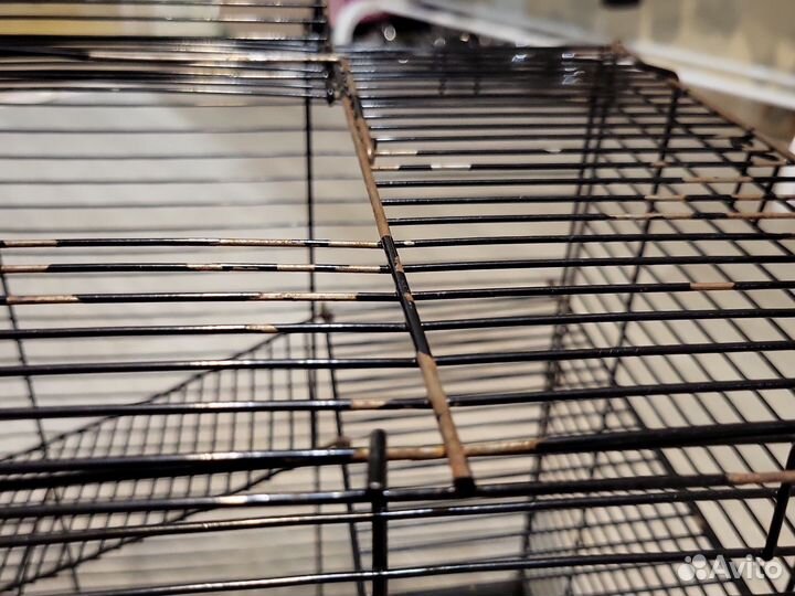 Клетка для грызунов бесплатно отдам