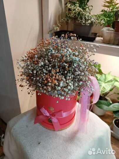 Гипсофилы в шляпной коробке. Цветы