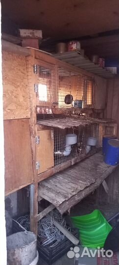 Клетка для кроликов