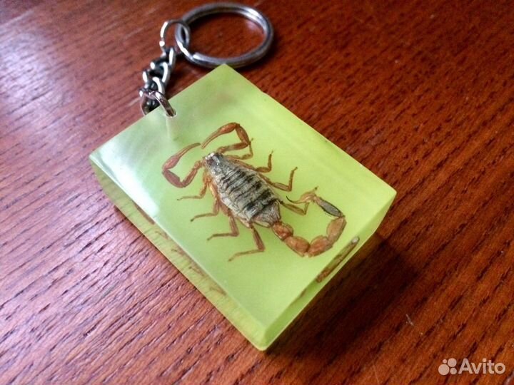 Брелок с настоящим скорпионом