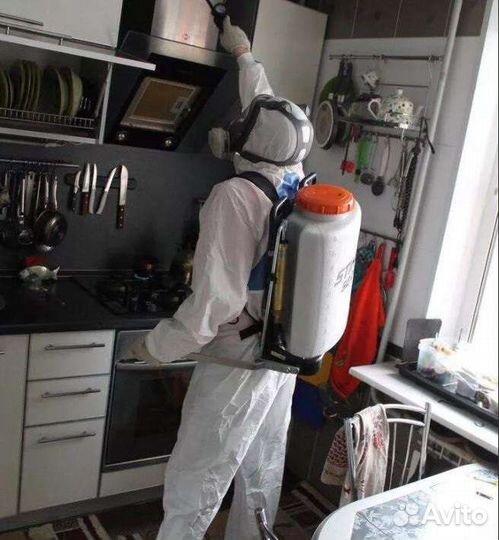 Дезинсекция