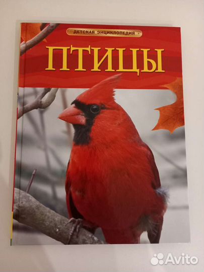 Книга