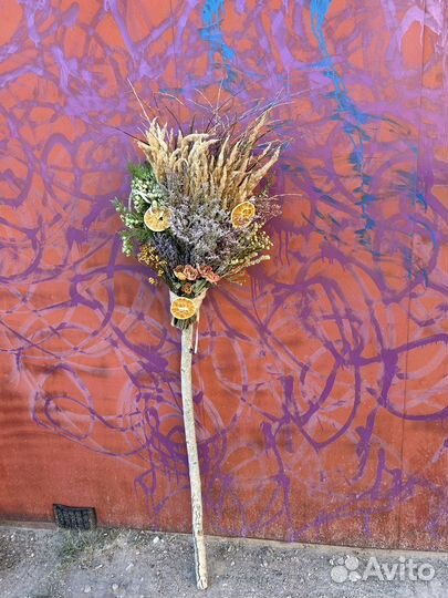 Метла ведьмы