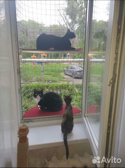 Балкон для кошки