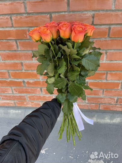 Коралловая роза 15 шт. 70см Доставка