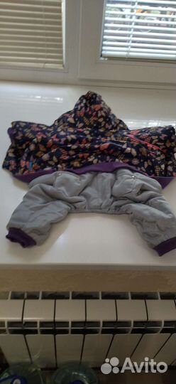 Разная одежда для собак