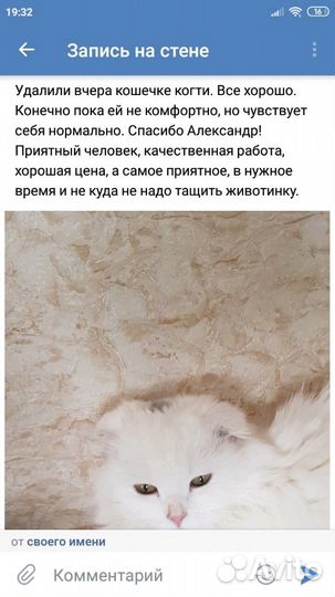 Ветеринарный врач на дом