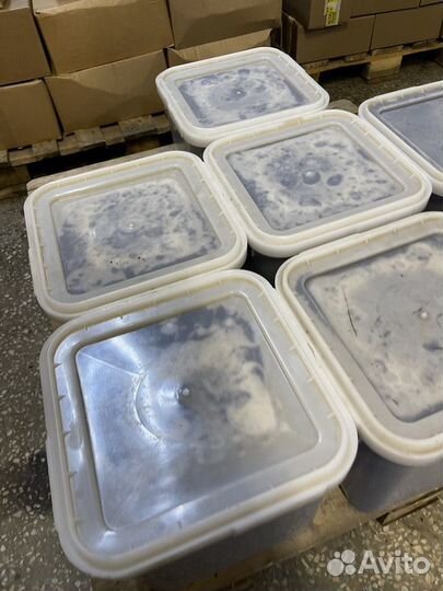 Натуральный свежий цветочный мёд Только опт