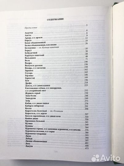 Русская охота. Подарочное издание. Сабанеев лп