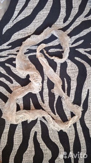 Выползок змеи