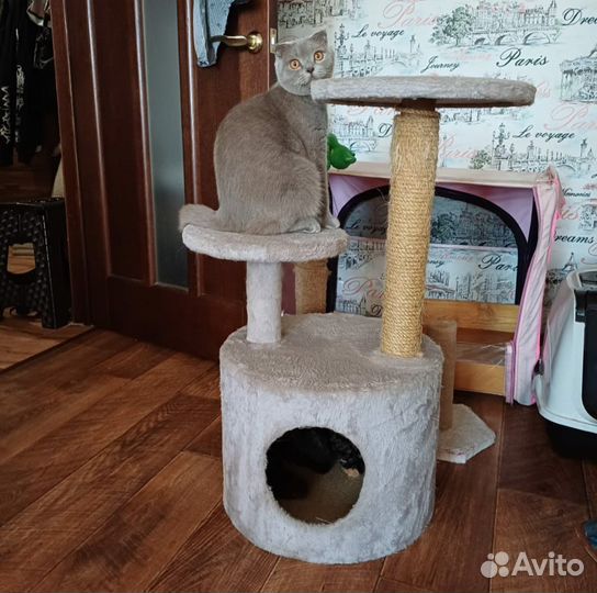 Домик и когтеточка