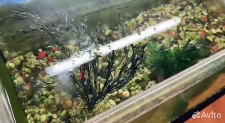 Аквариум Aquael