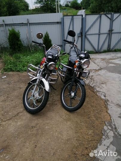 Alpha GS110