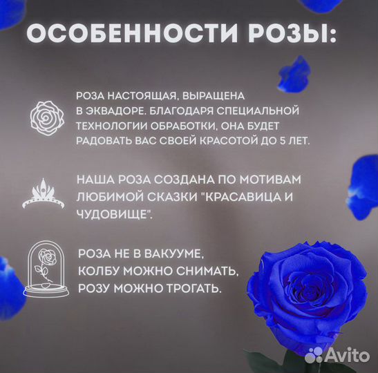 Вечная роза в колбе синяя