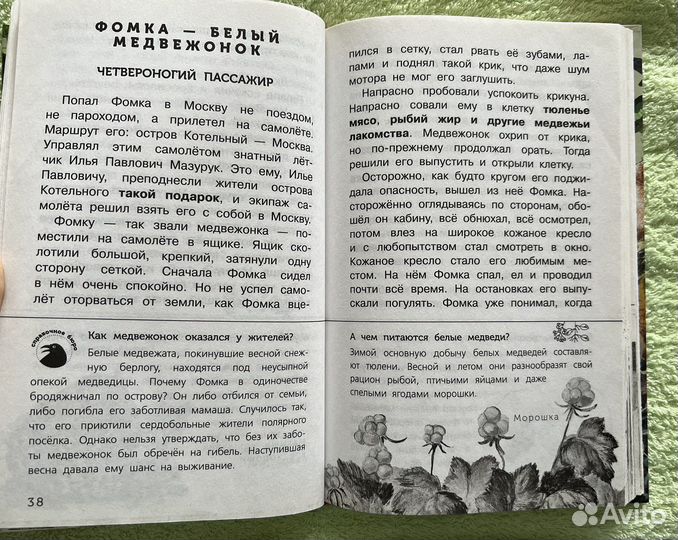 Литература для младшего школьного возраста