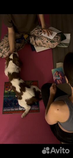 Психологическая трансформационная игра «лила»