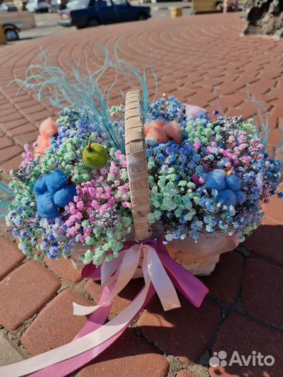 Гипсофила. радужная гипсофила