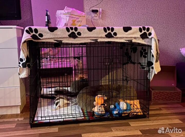 Клетка для собак и кошек №5, сделано в россии