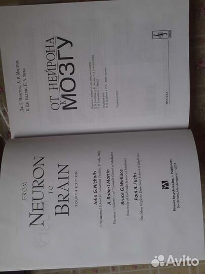 От нейрона к мозгу