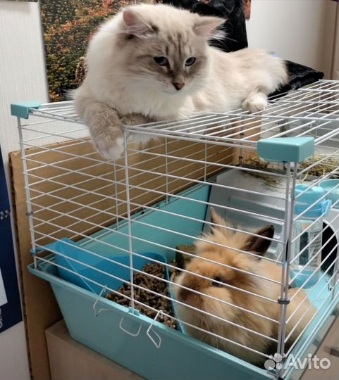 Домик Клетка большая для кроликов,грызунов,ежей