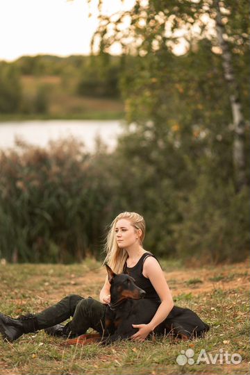 Фотосессия с доберманом