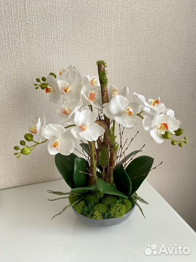 Орхидея коряги мох композиция