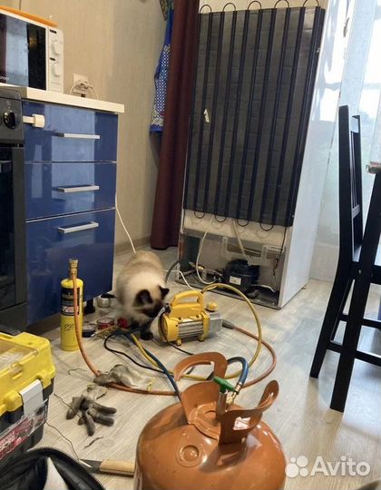 Ремонт Холодильников Кондиционеров Заправка Чистка