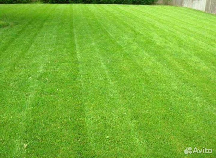 Газон. Семена мешок 10 кг