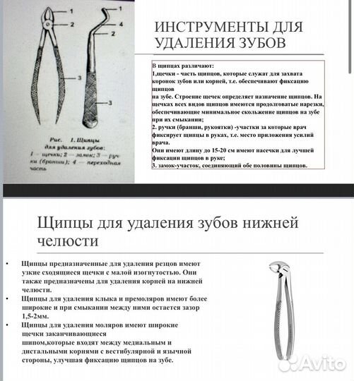 Презентации на заказ