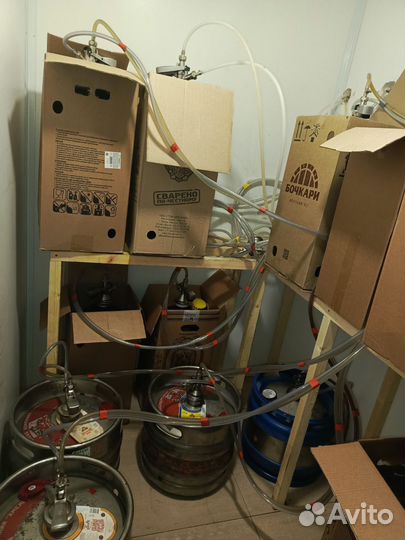 Готовый бизнес. Магазин разливных напитков