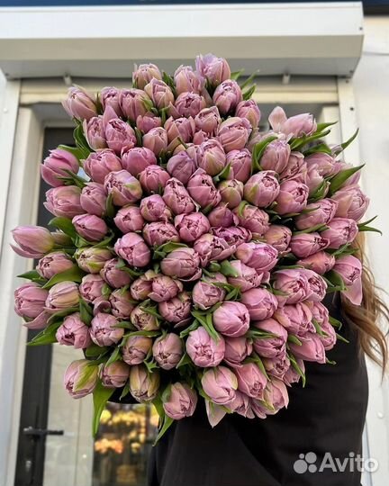Букет тюльпанов / 51,101,151 тюльпан