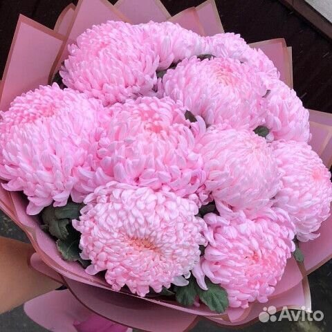 Хризантема букеты