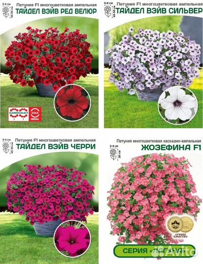 Петуния Тайдал