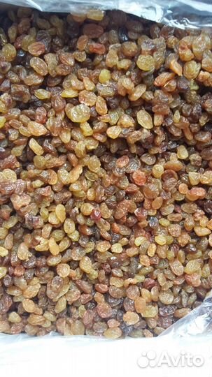 Изюм малаяр Иран