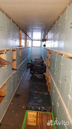 Павильон для пчёл