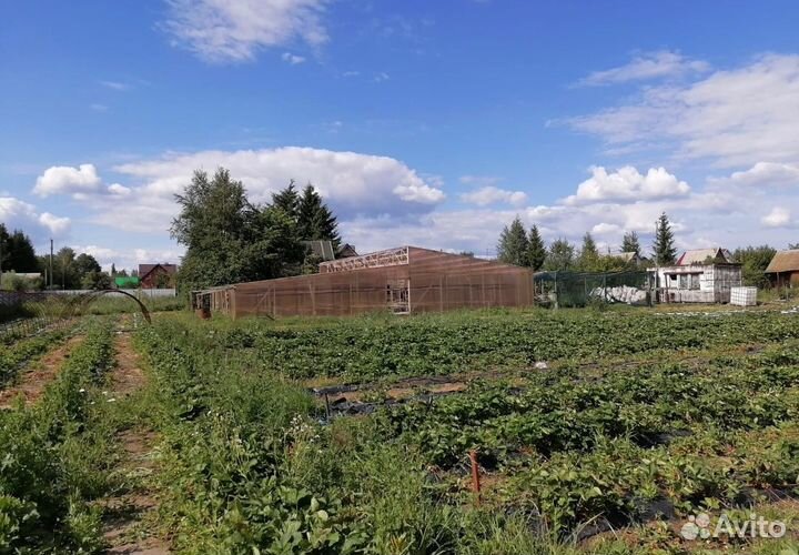 Помощник по хозяйству/Семейная пара