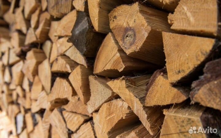 Дрова осина