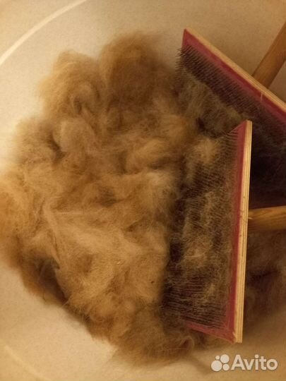 Наколенники из собачьей шерсти(лечебный эффект)