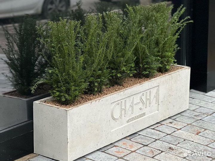 Цветочницы лофт