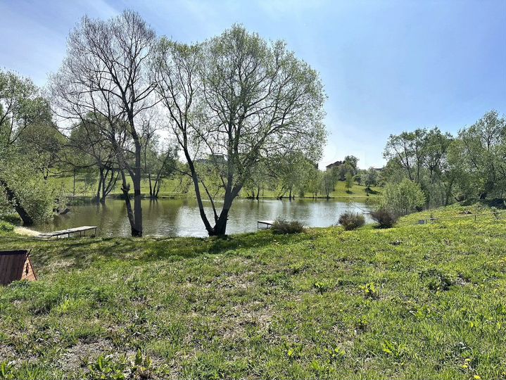 Участок 10 сот. (ИЖС)