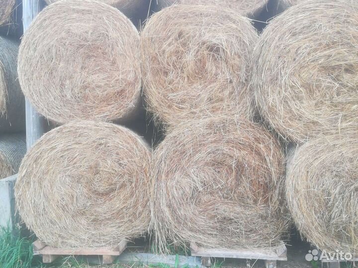 Сено в рулонах укос июль 2023