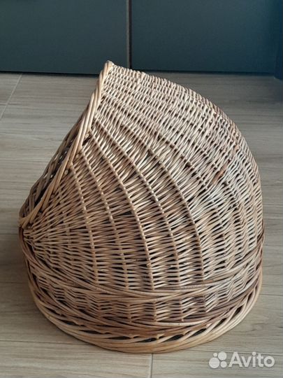 Домашние животные кошки