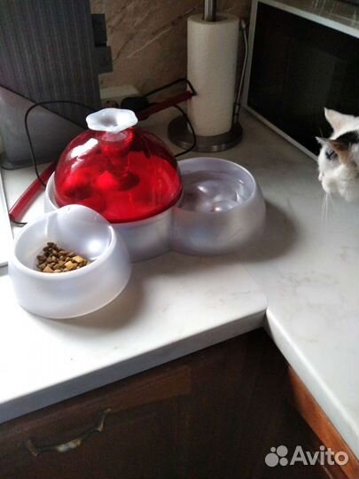 Питьевой фонтан для животных