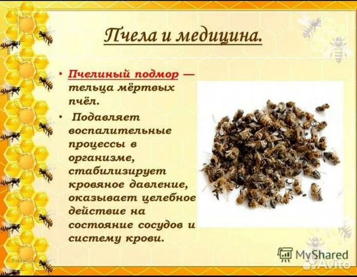 Мед в сотах